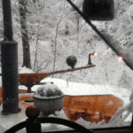 Winterdienst-mti-Steyr-8080-im-Wald